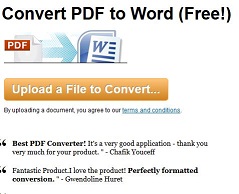 Online p�evod PDF do Wordu